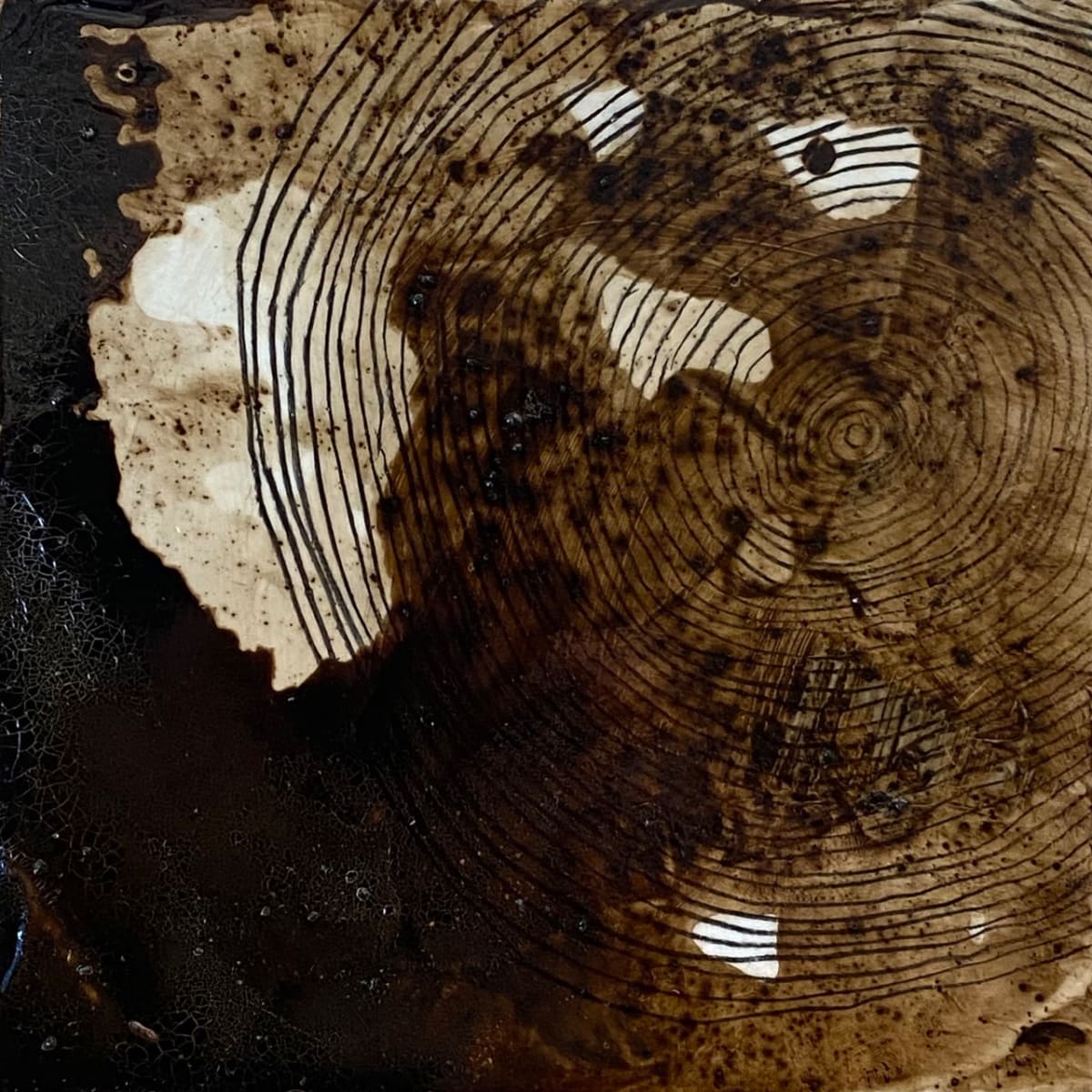 Old Growth #1 by Susan Snipes 