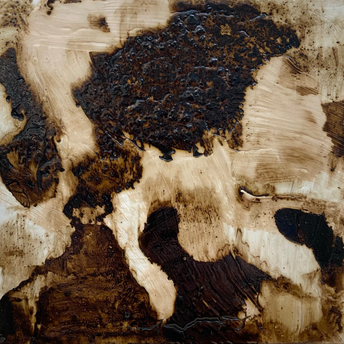 Interrupted Humus by Susan Snipes 