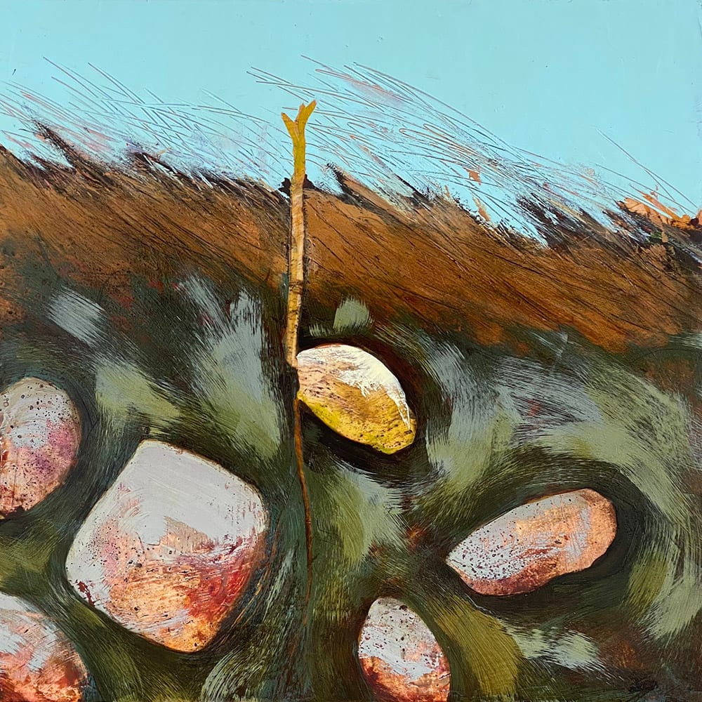 Rooted Among Rocks by Susan Snipes 