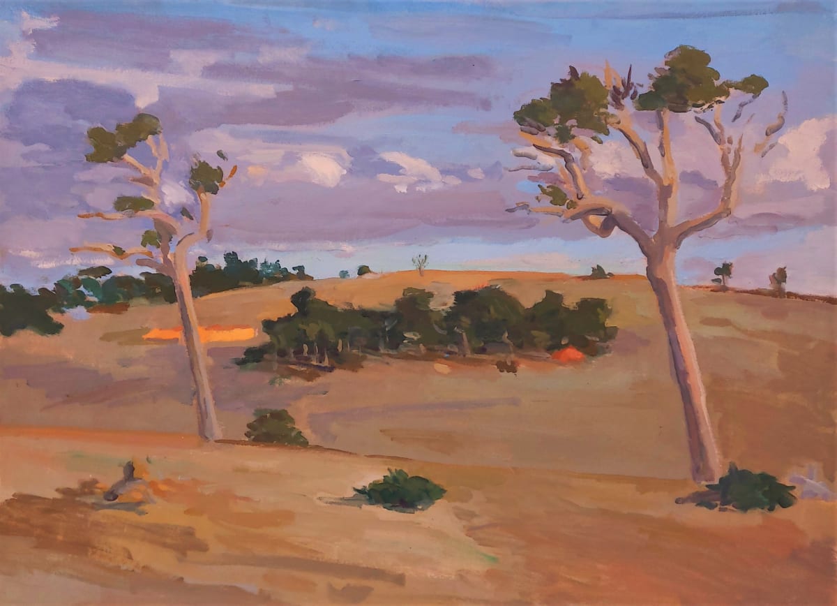 Leaning Trees, Albany Shire by Sperry ANDREWS 