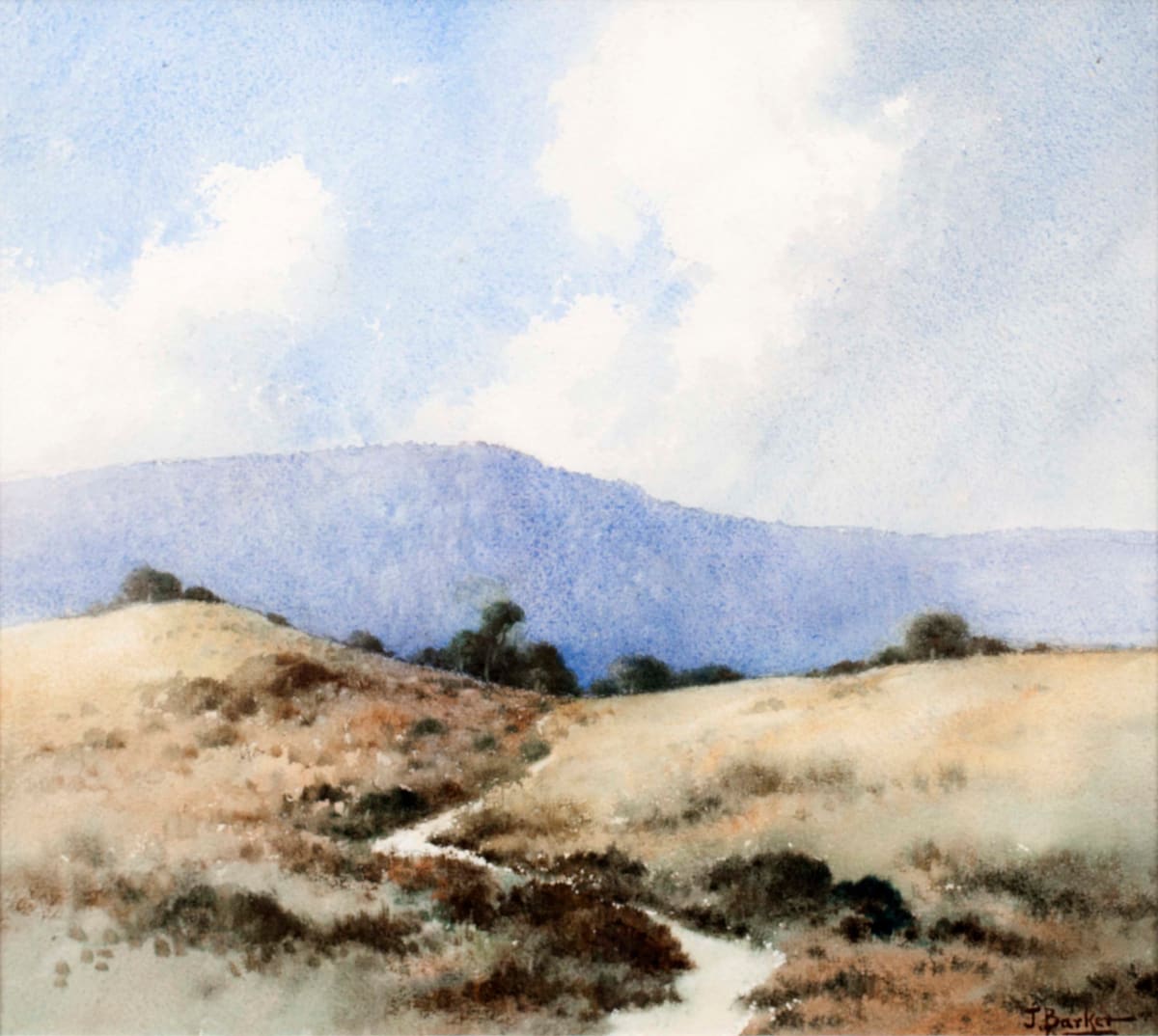 Landscape (Winding Track) by John BARKER 
