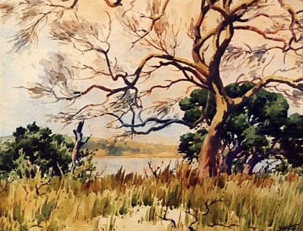 Landscape (Trees) by John BARKER 
