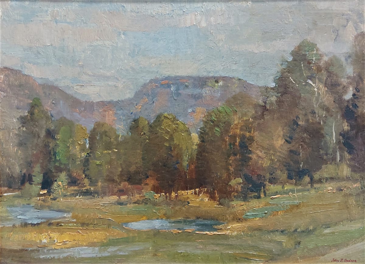 Late Afternoon - Burragong Valley NSW by John Barclay GODSON 