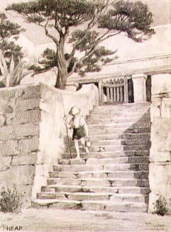 Rottnest Island - Steps by Amy HEAP 