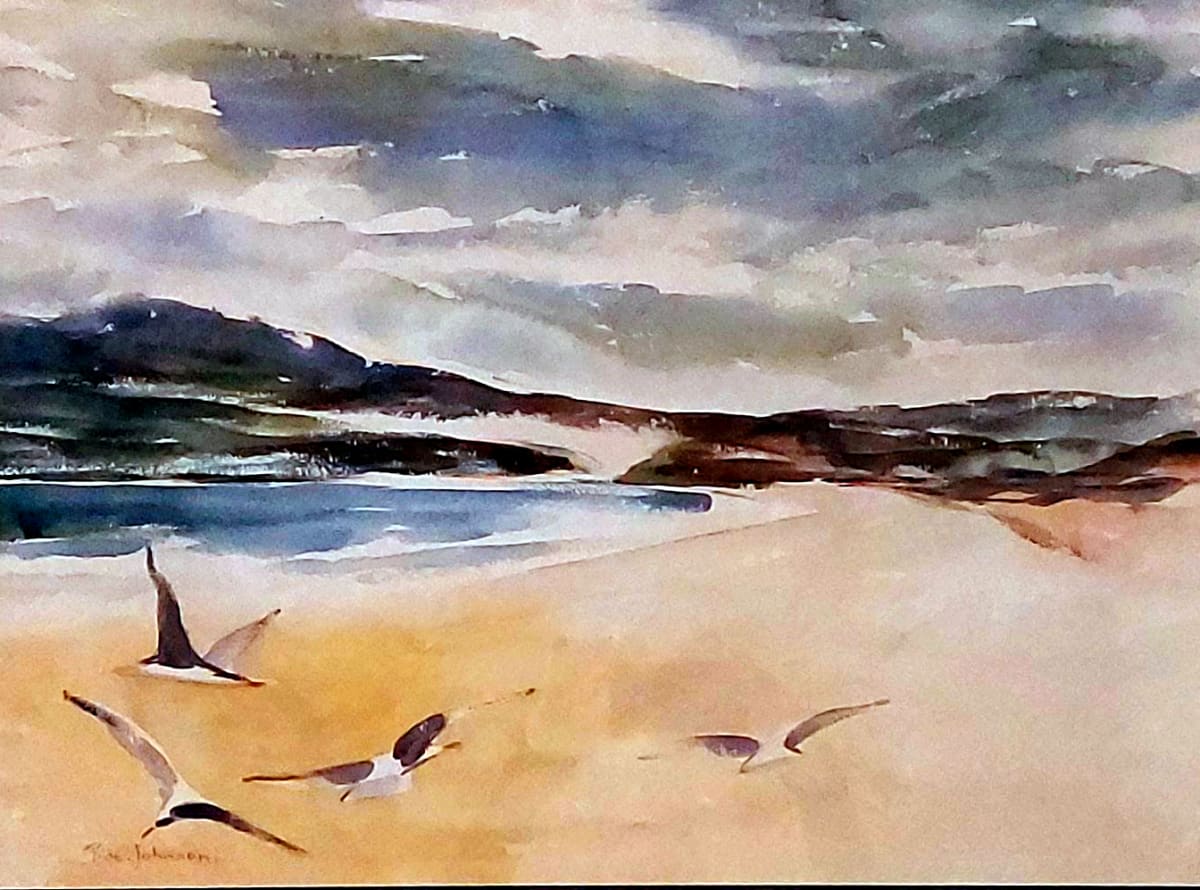 Gulls by Rae JOHNSON 