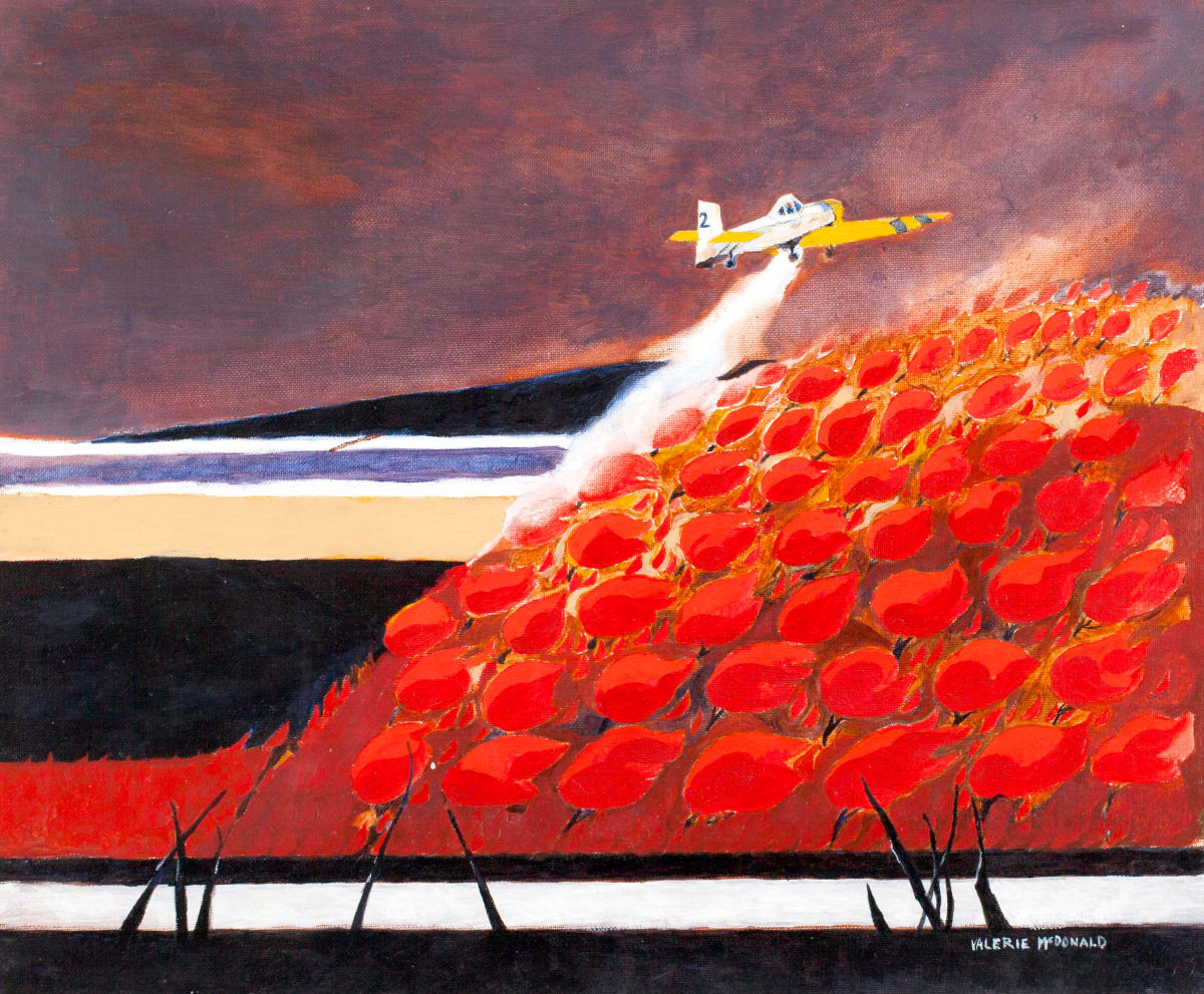 Water Bomber (Dromader 2) by Valerie McDONALD 