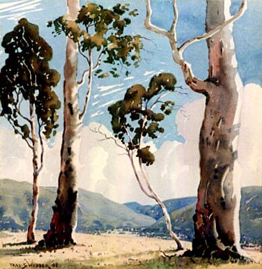 Hillside Gums by Travis WEBBER 