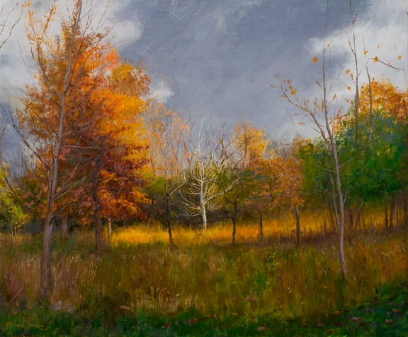 Fall Colors - Sauganash Woods - Framed by Michael Van Zeyl 