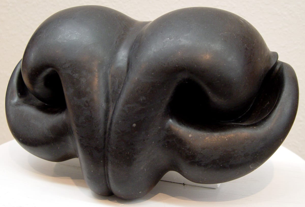 Prosimian Nose by Maria Rucker (RAiR 1999-2000), Image 1.