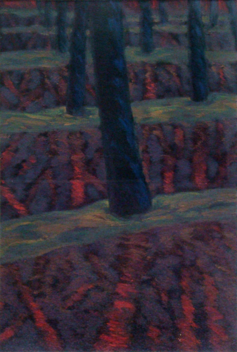 Beyond Mescalero Orchard II by Jane Abrams (RAiR 1985-86) 