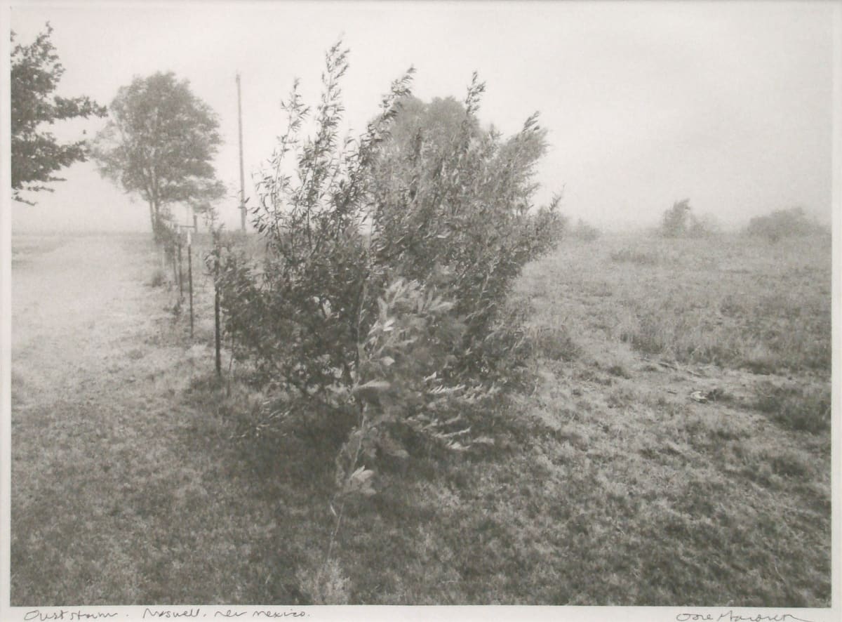 Dust Storm, Roswell NM by Dore Gardner (RAiR 1996), Image 1.