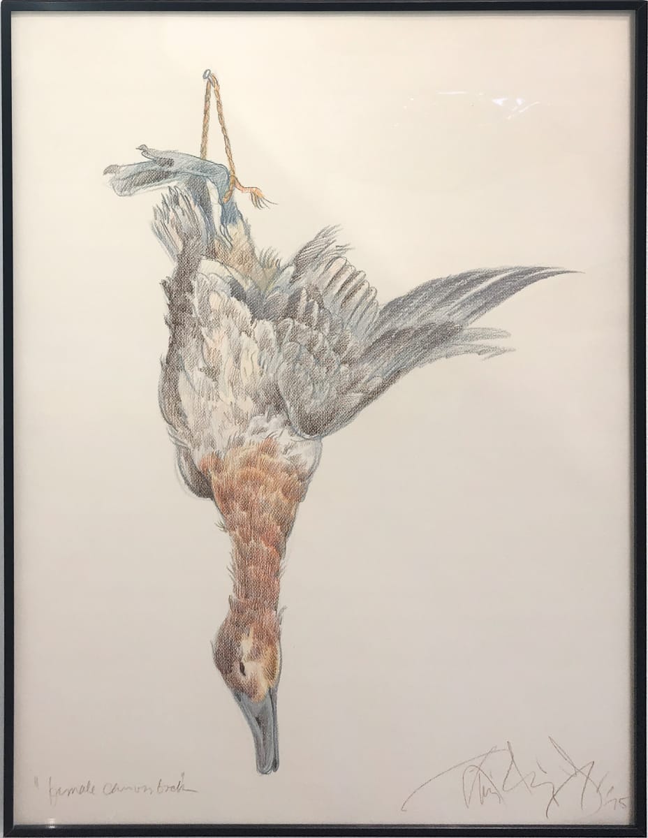 Female Canvasback II by Luis Jimenez (RAiR 1972-73), Image 1.