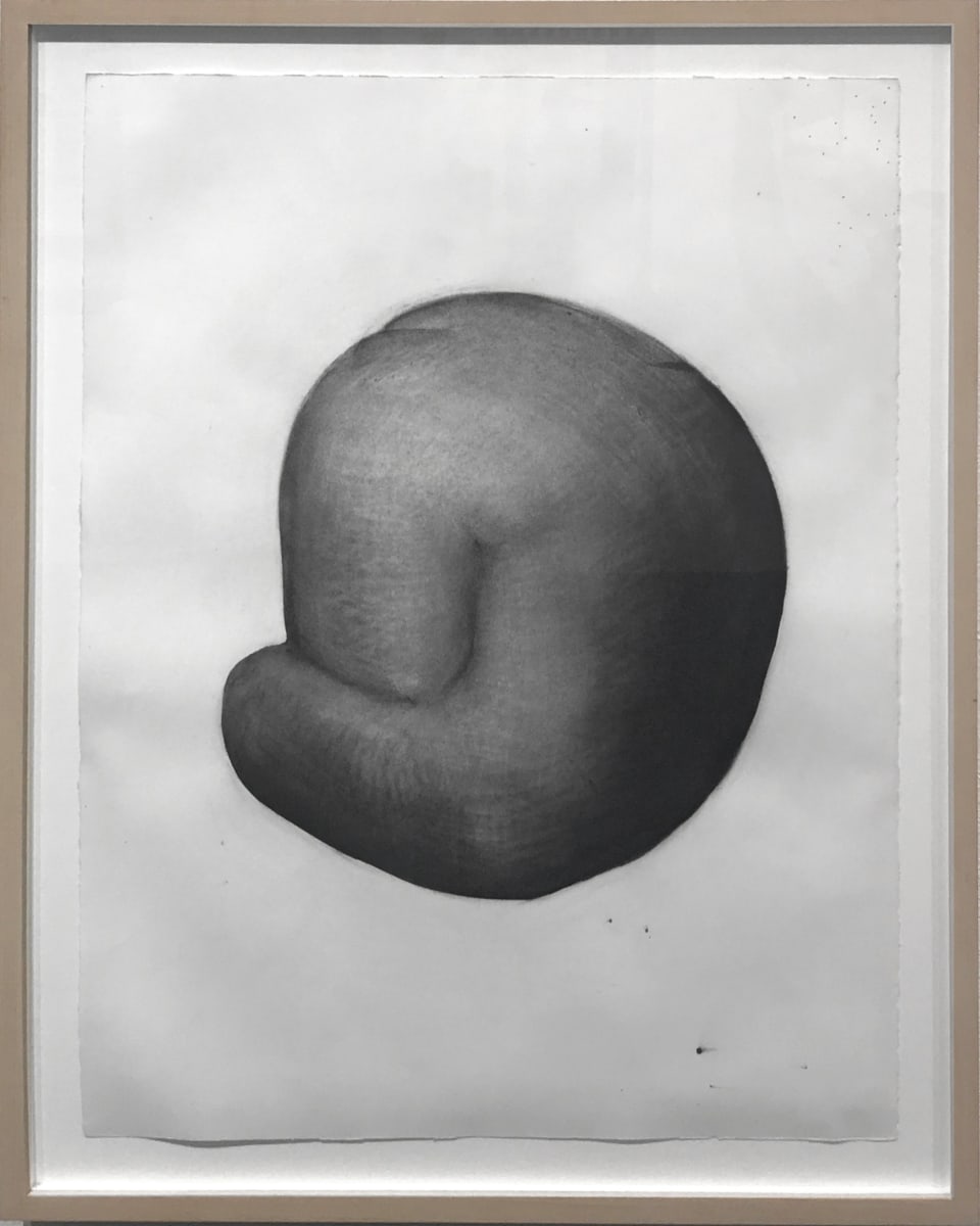 untitled by Stephen Fleming (RAiR 1986-87), Image 2.