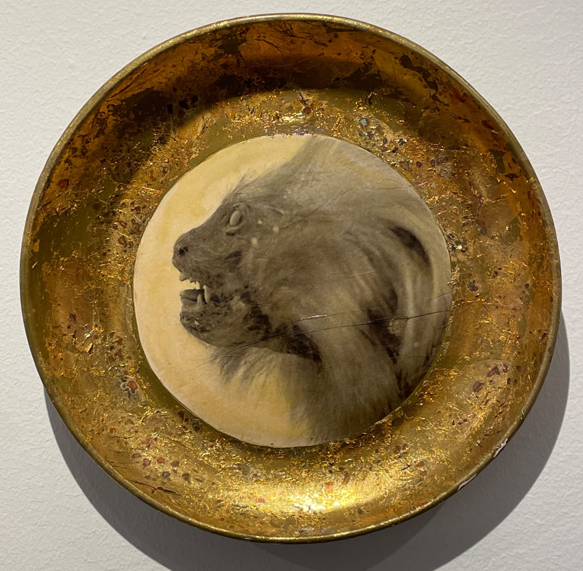 Untitled by Deborah Brackenbury (RAiR 1996-97) 