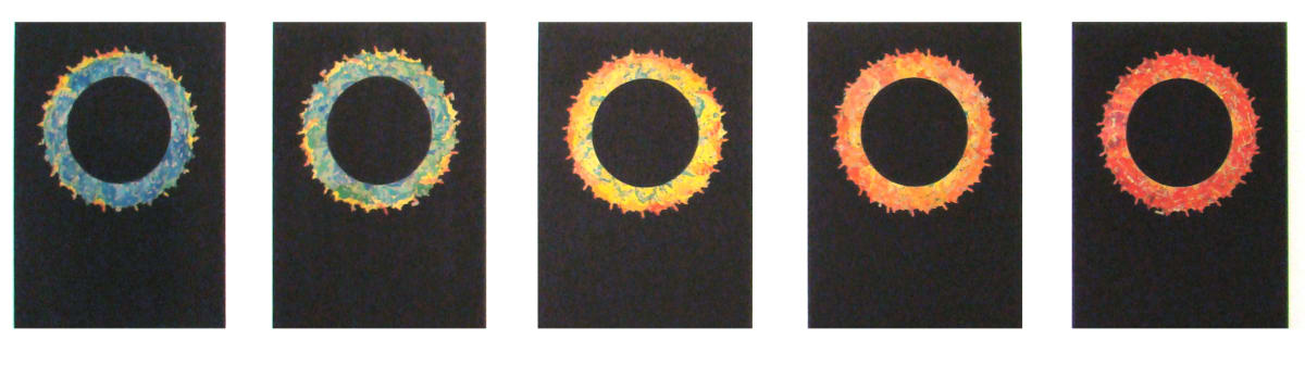Five Seasons by John Dooley (RAiR 2002-03), Image 1.