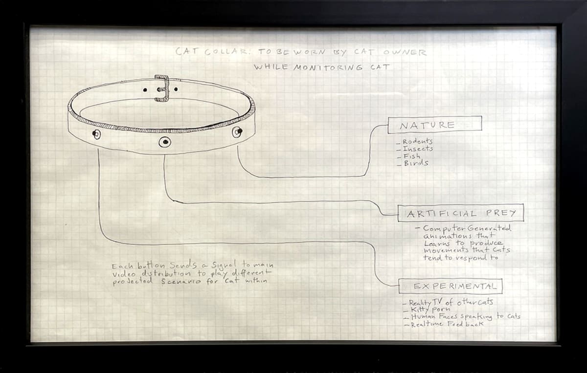 Cat Collar To Be Worn by Cat Owner When Monitoring Cat by Flo McGarrell F. (RAiR 2007-08) 