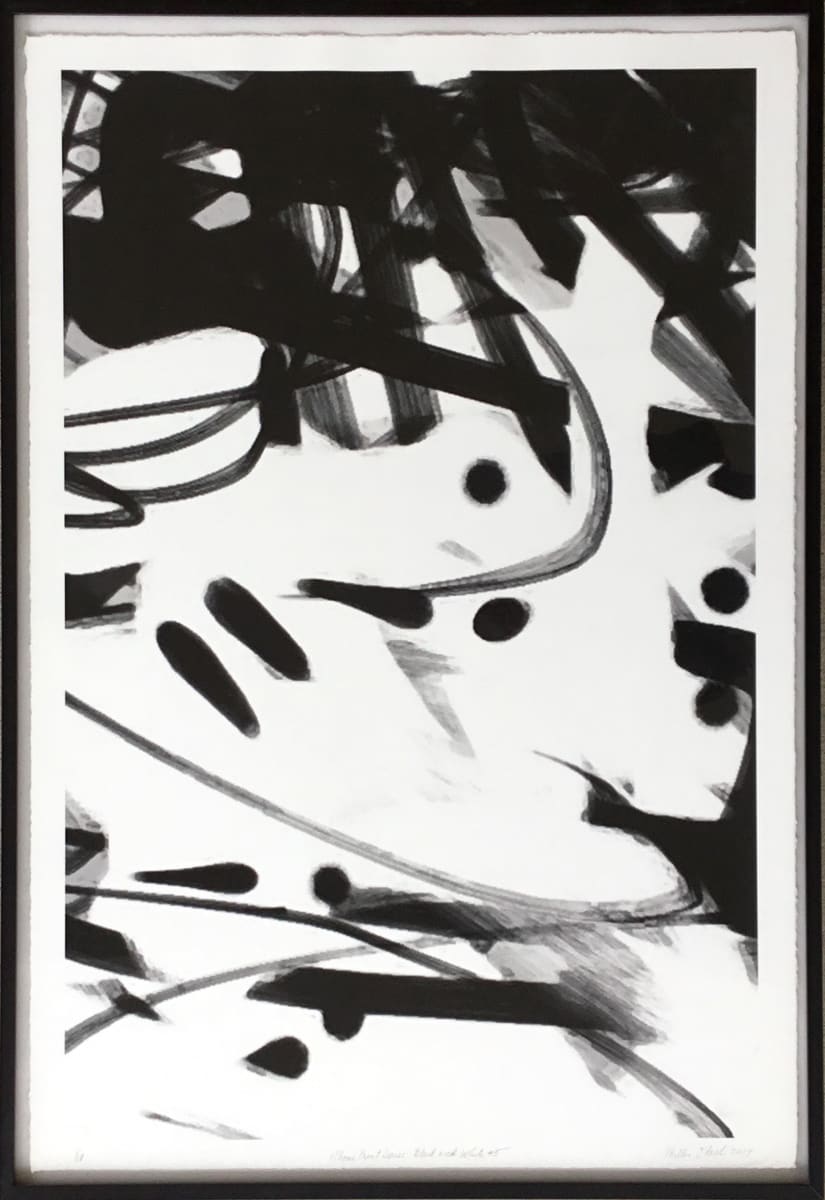Series I, Black & White #5 by Phillis Ideal (RAiR 1992-93), Image 1.