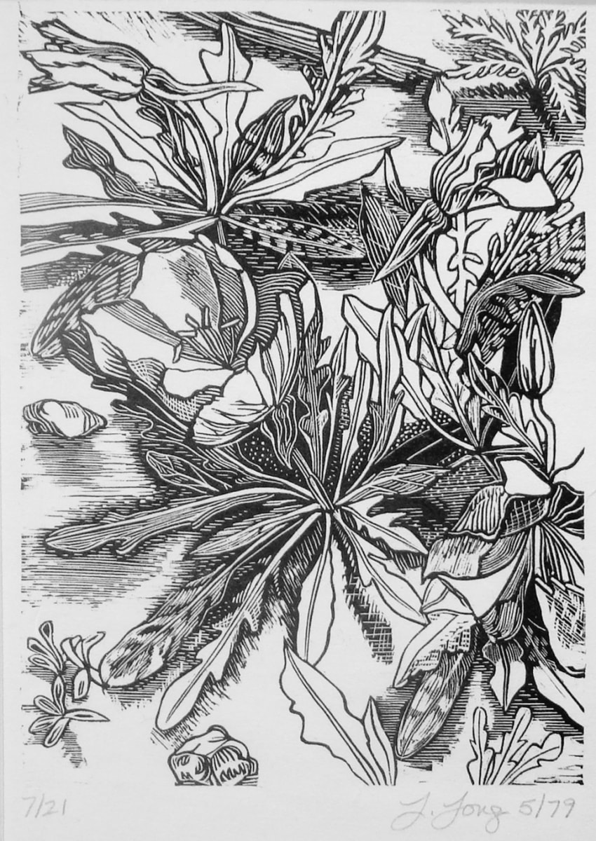 Untitled by Lynda Long (RAiR 1978-79), Image 1.