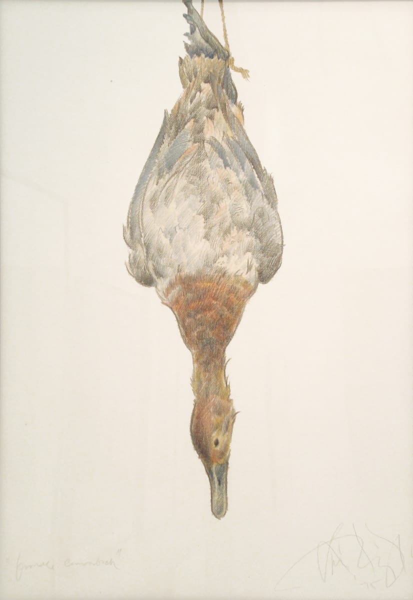 Female Canvasback I by Luis Jimenez (RAiR 1972-73), Image 1.