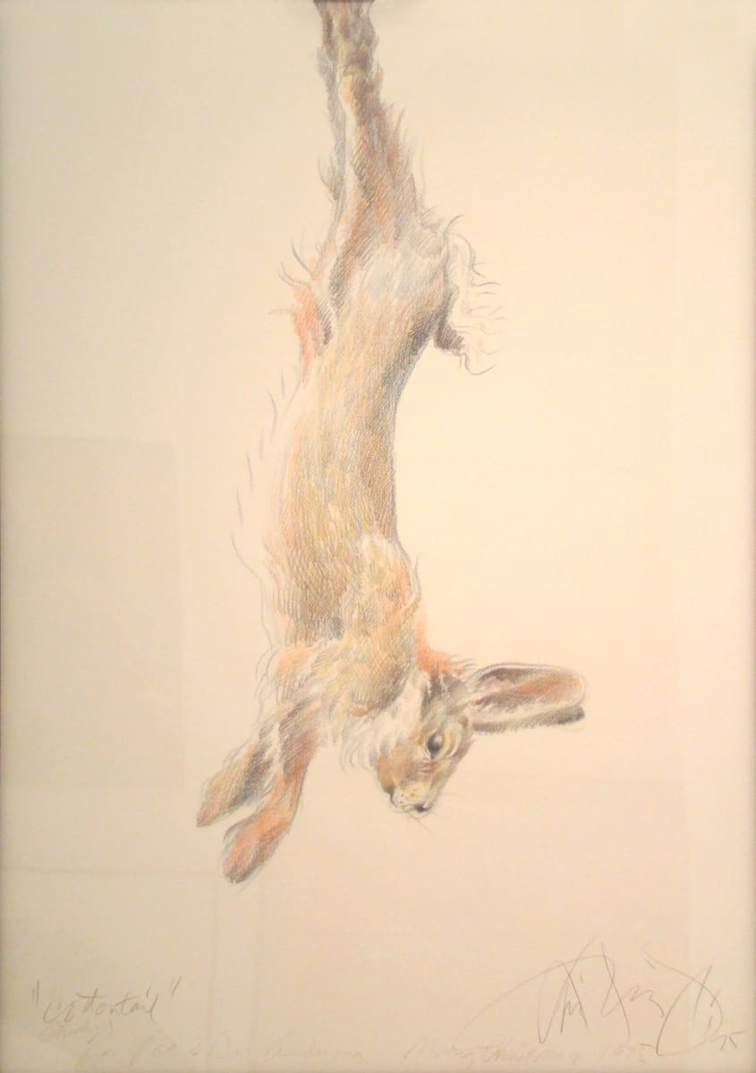 Cottontail by Luis Jimenez (RAiR 1972-73), Image 1.