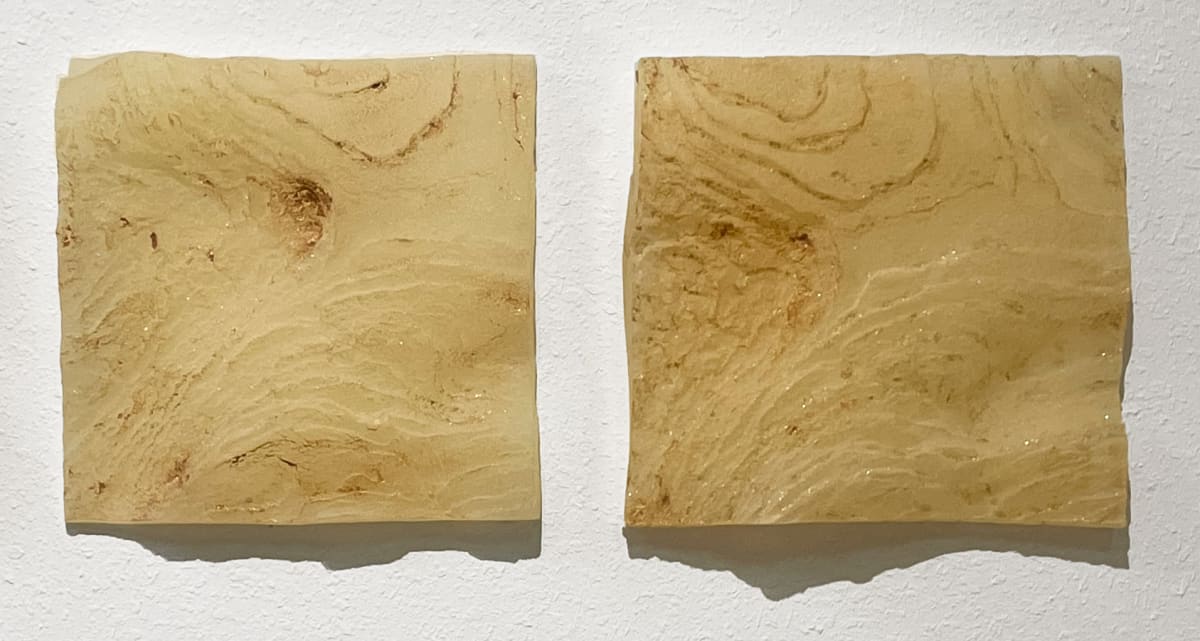Embedded (2) by Afton Love (RAiR 2018-19), Image 1.