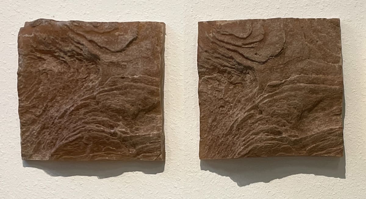 Embedded (1) by Afton Love (RAiR 2018-19) 