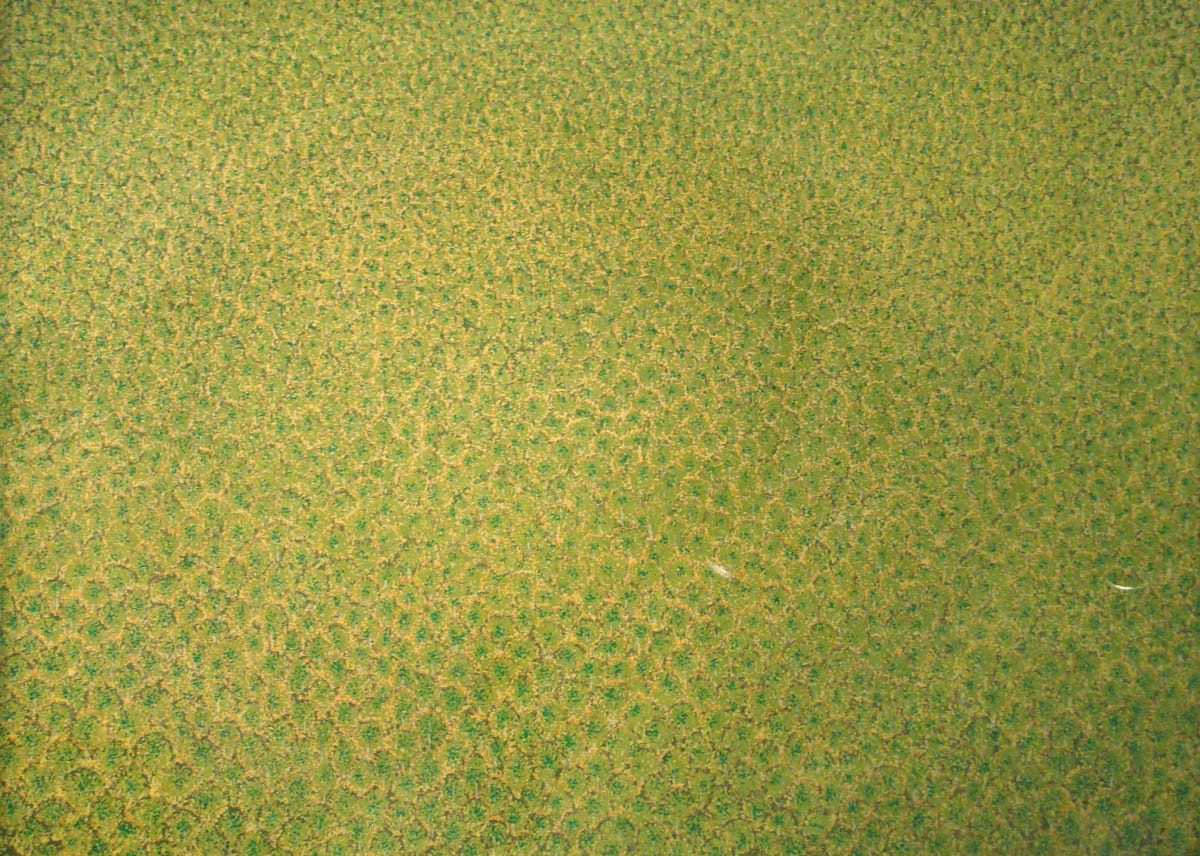 Untitled by Elmer "Skinny" Schooley (RAiR 1977-78), Image 1.