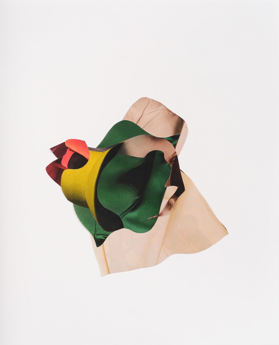 Refraction No. 25 by Vanessa Lam, Image 5.