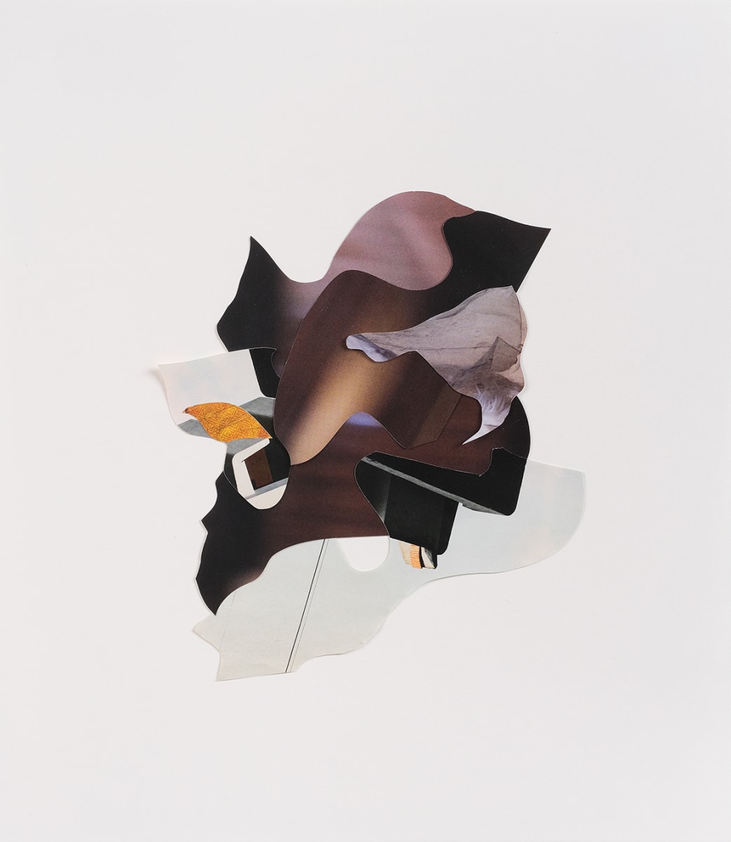 Refraction No. 26 by Vanessa Lam, Image 6.