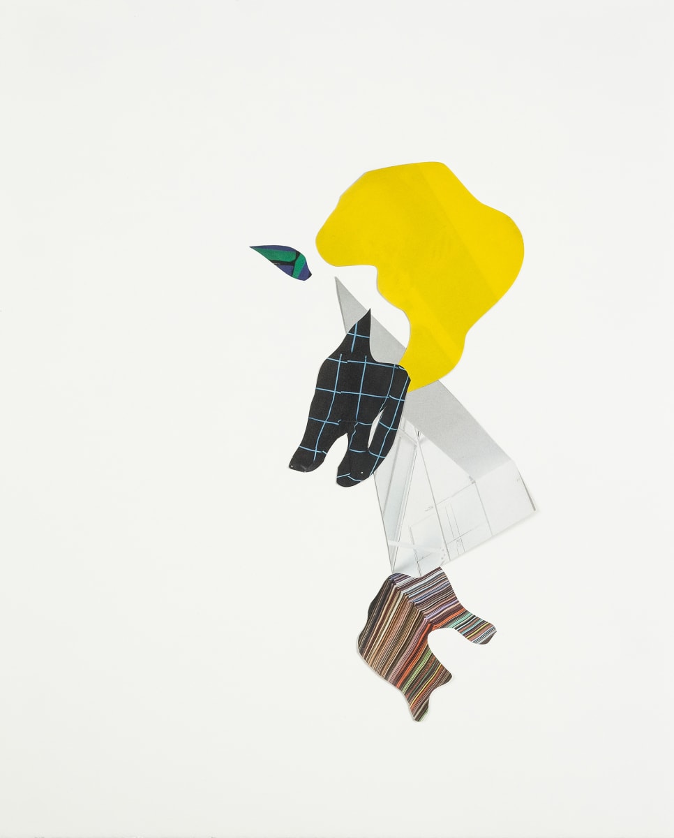 Refraction No. 12.5 by Vanessa Lam 