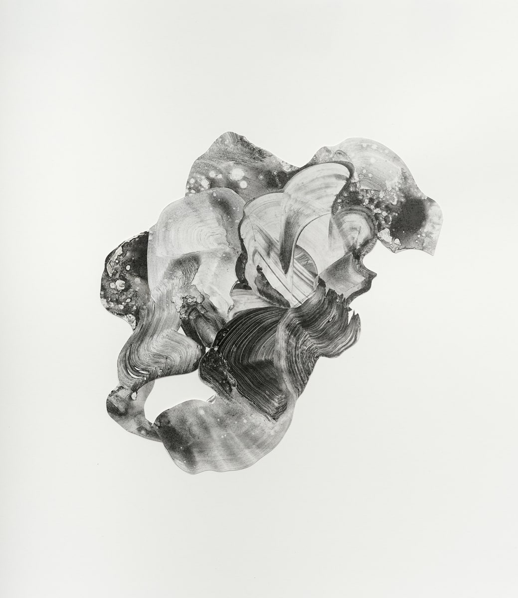 Wanderings No. 12, Image 2.