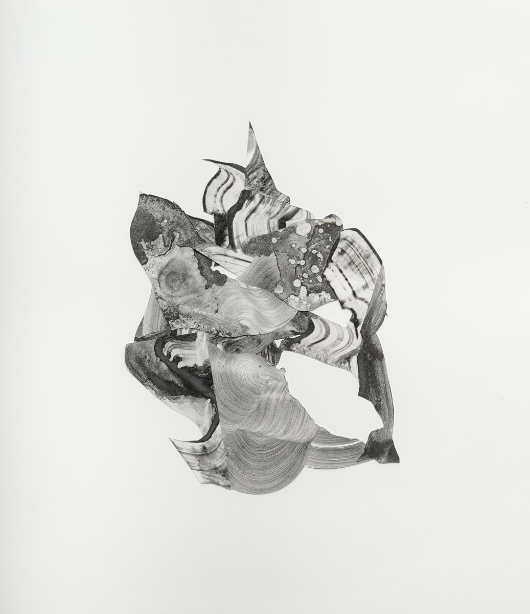 Wanderings No. 10, Image 3.