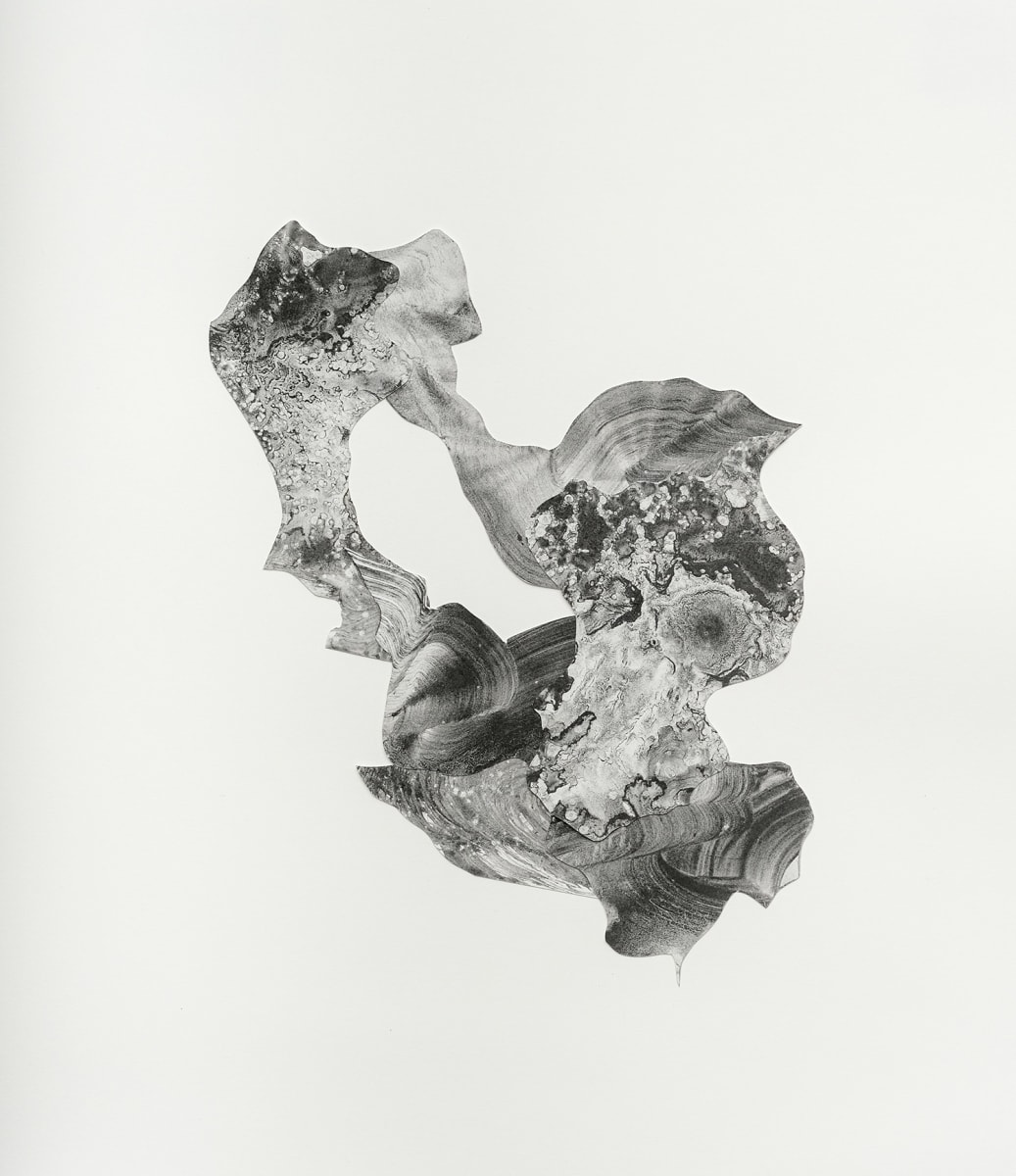 Wanderings No. 11 by Vanessa Lam, Image 3.