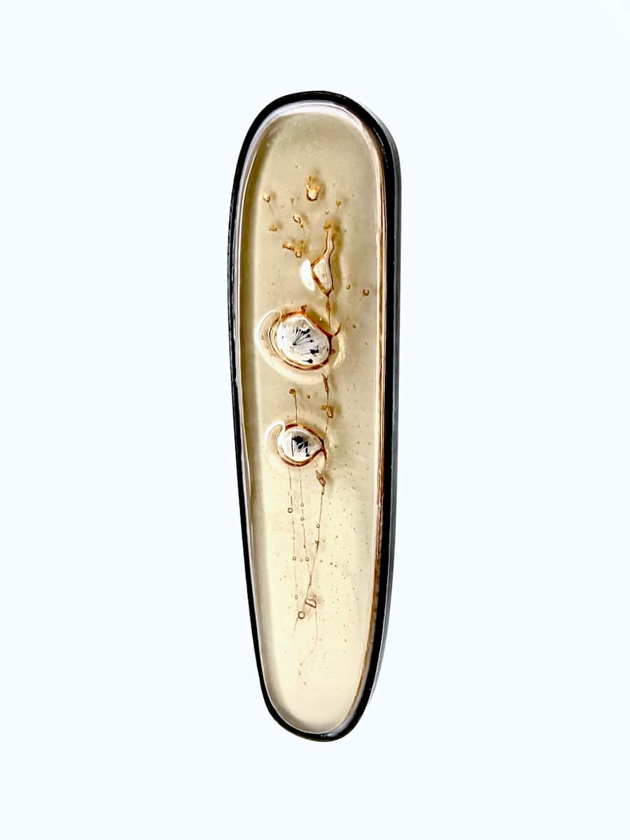 Wild Onion and Daisy Fleabane by Susan Madacsi 