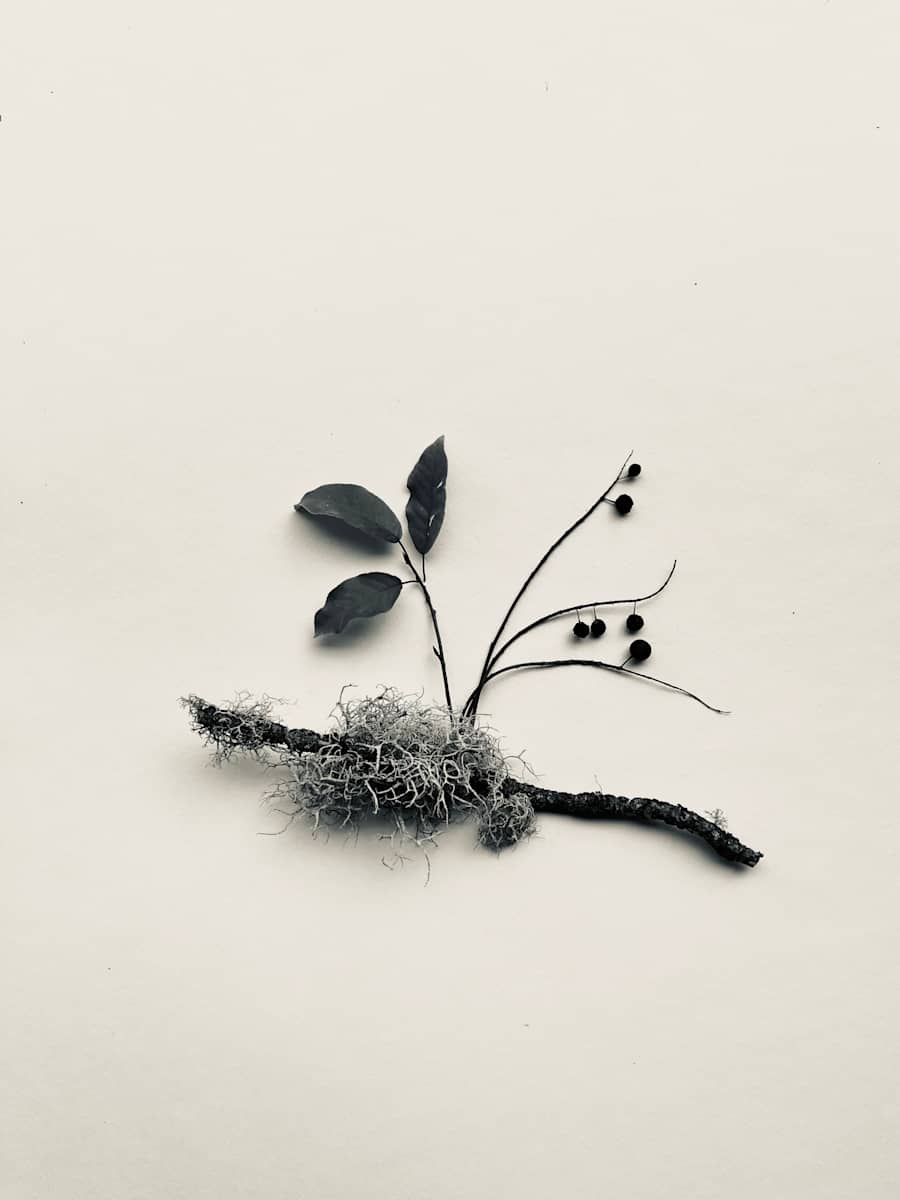 Chokecherry with Lichen by Susan Madacsi, Image 6.