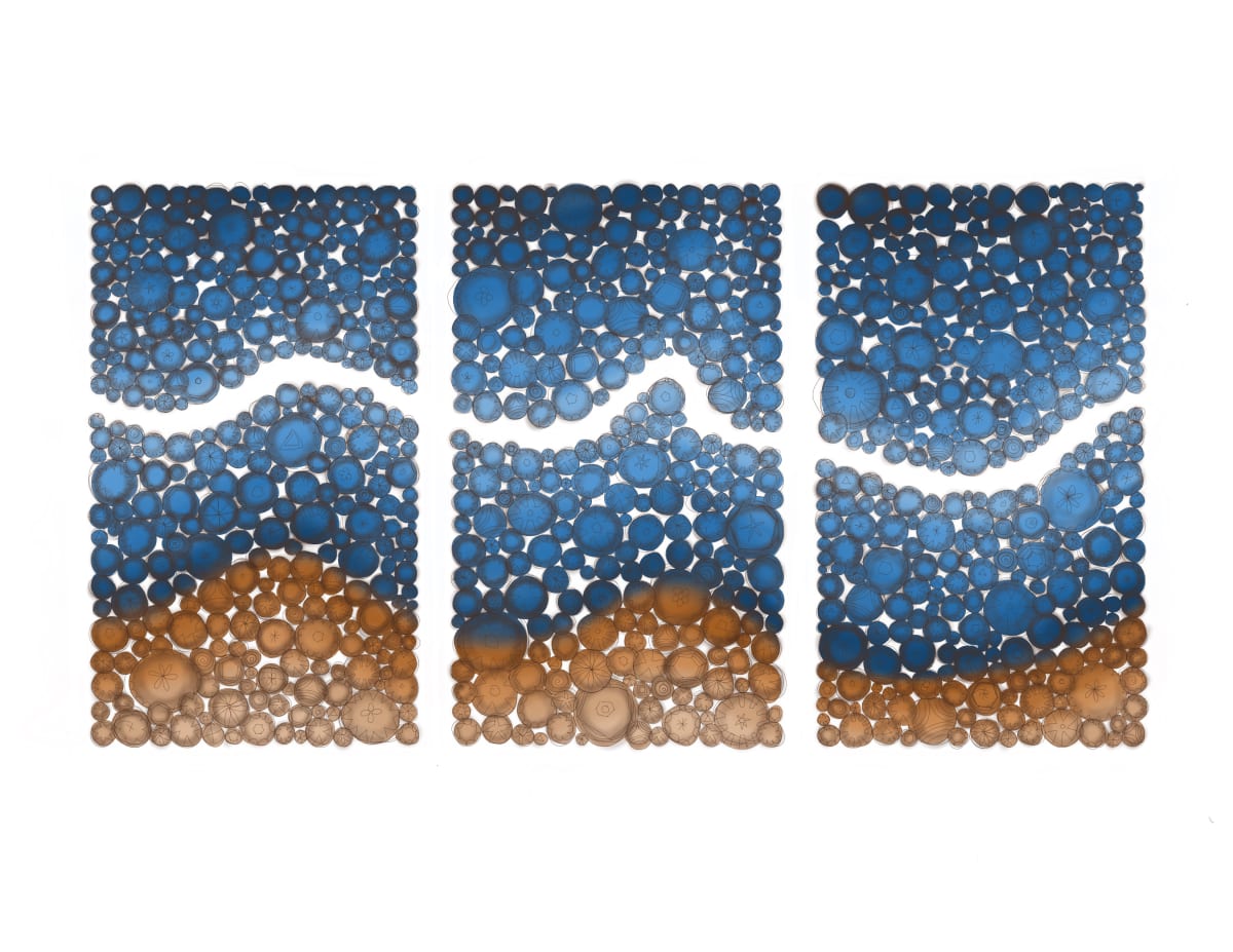 Where Land Meets Sea by Susan Madacsi 