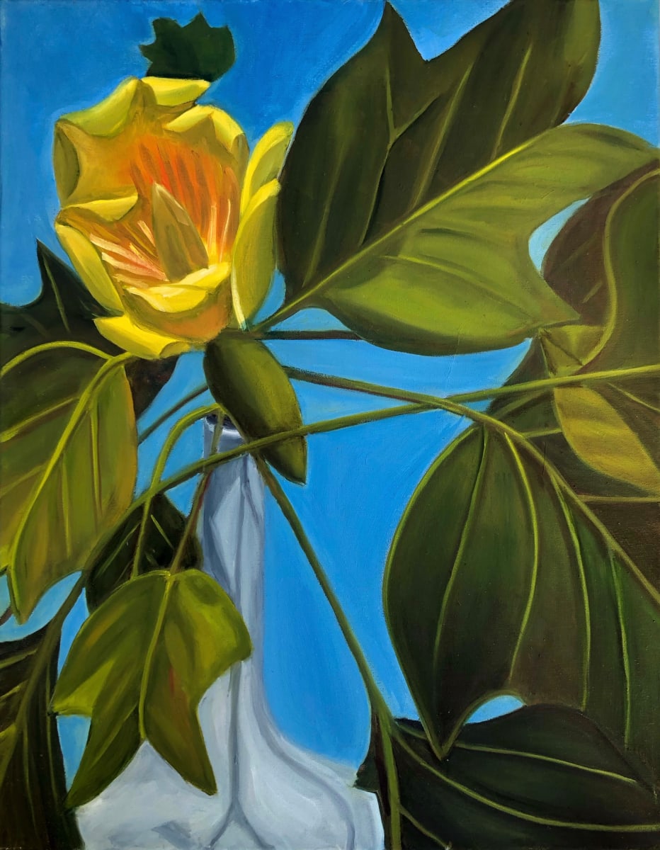 Poplar Tulip by Harriet Hill, Image 1.