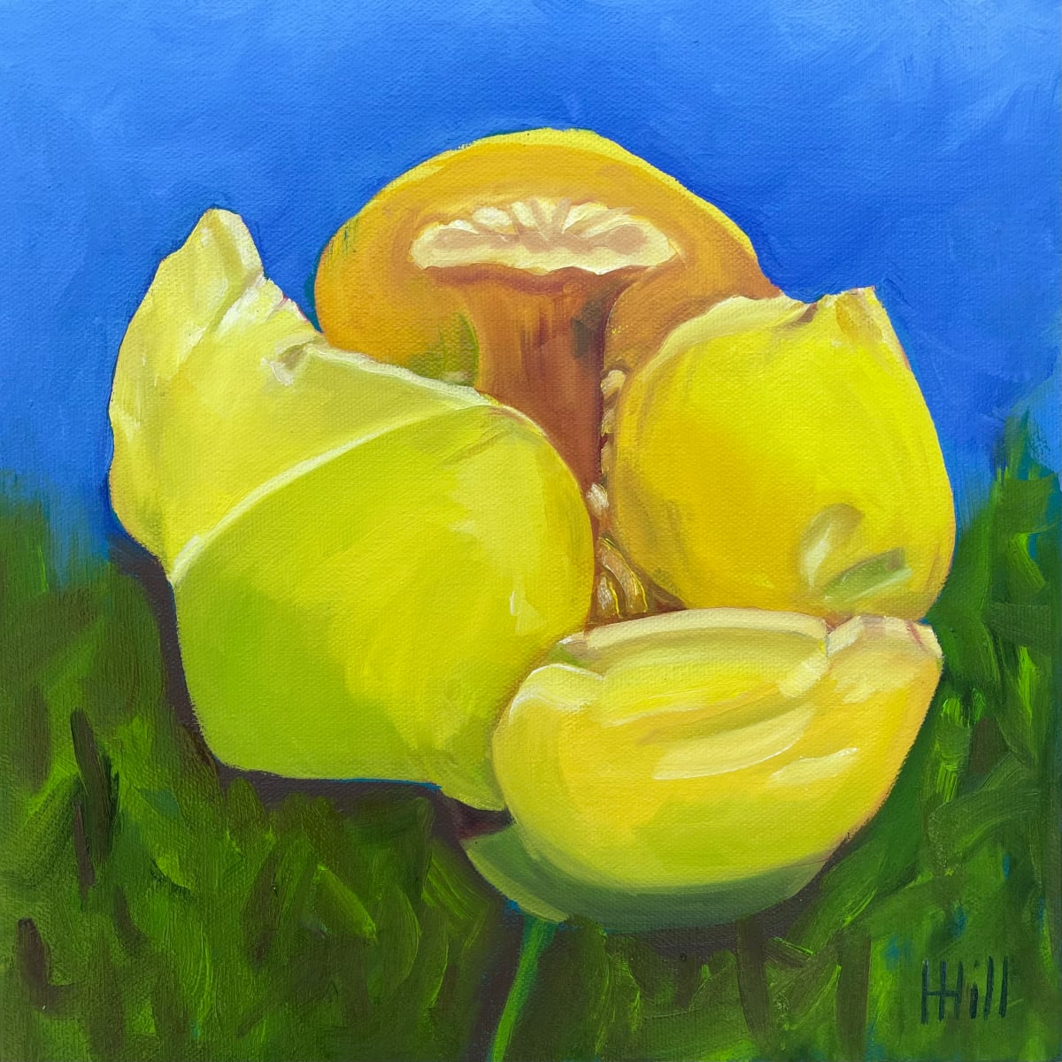 Yellow Pond Lily #1 by Harriet Hill 