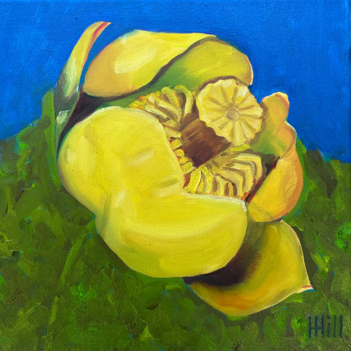 Yellow Pond Lily #2 by Harriet Hill 
