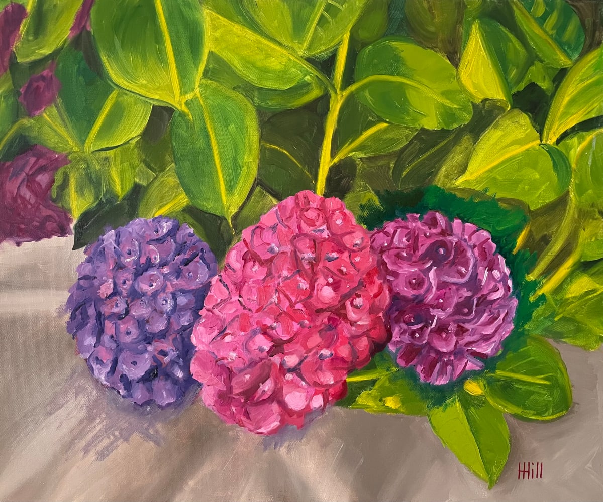 Hydrangea Trio by Harriet Hill 