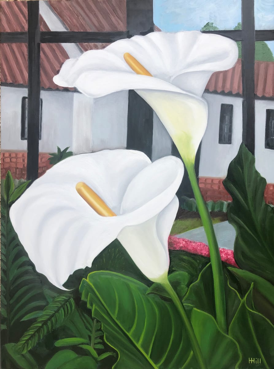 Brakenhurst Calla Lilies by Harriet Hill, Image 1.