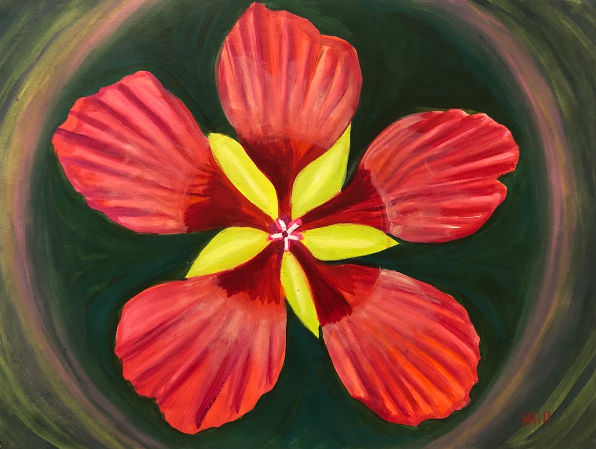 Hibiscus Pinwheel by Harriet Hill 