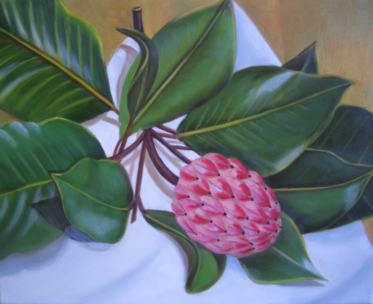 Magnolia Bud by Harriet Hill 
