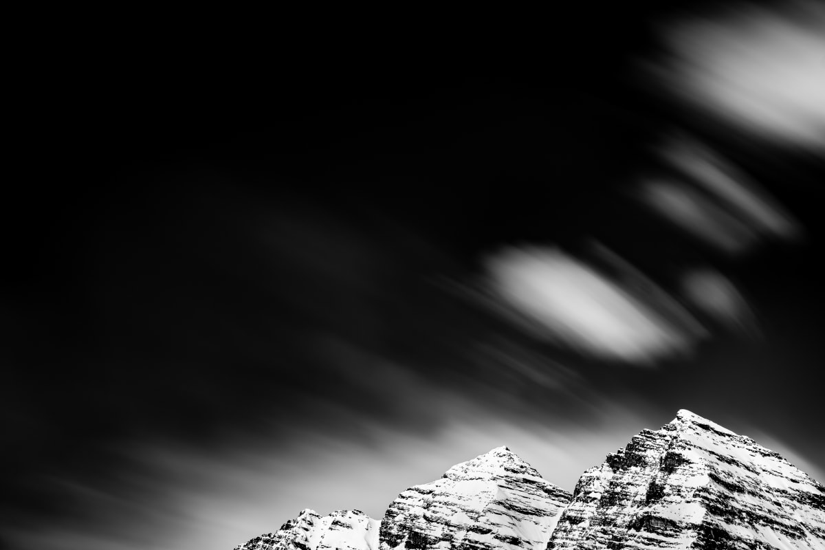 Movement by Tamara Susa 