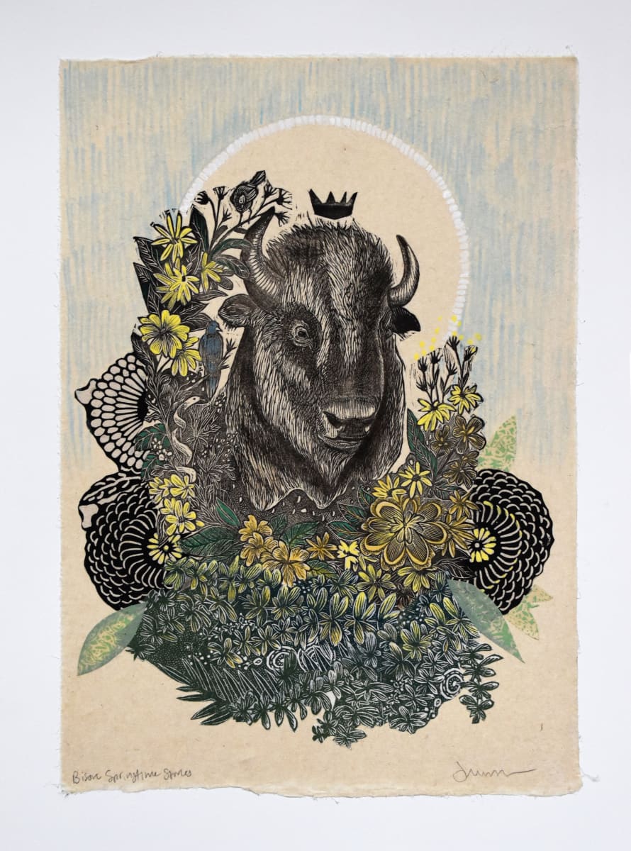 Bison: Springtime Stories by Johanna Mueller 