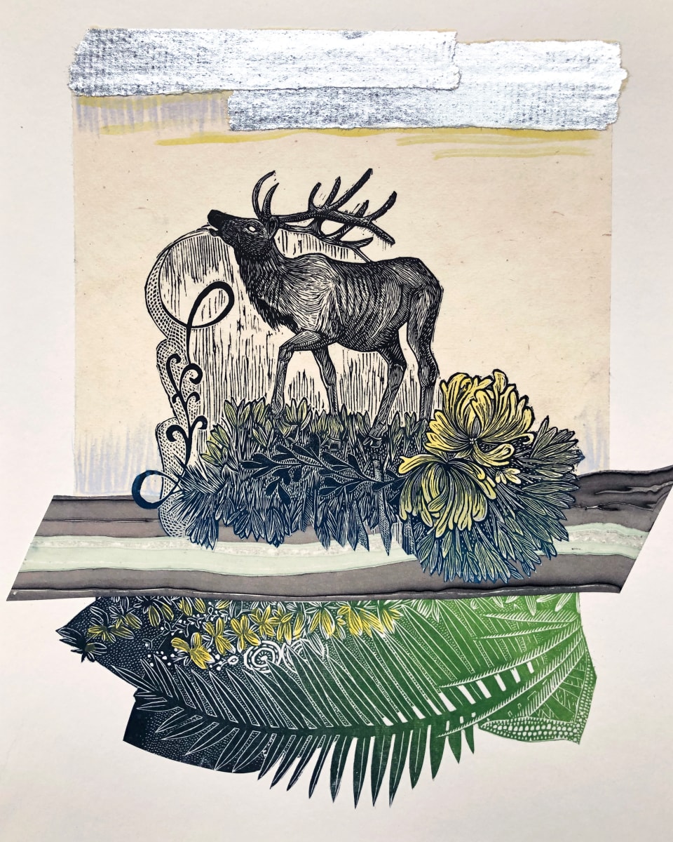 Elk Song by Johanna Mueller 
