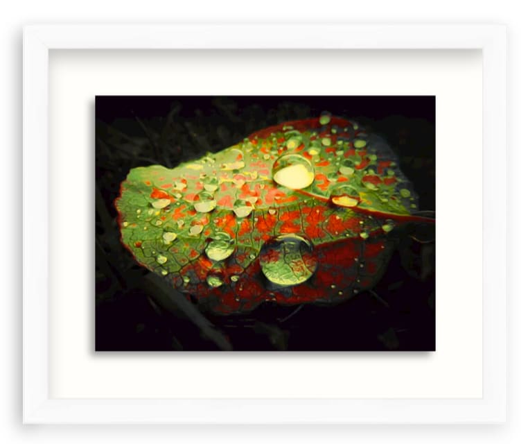 Aspen Leaf Dew by Art Burrows  Image: Compositional color base on a micro view of dew droplets on leaf.