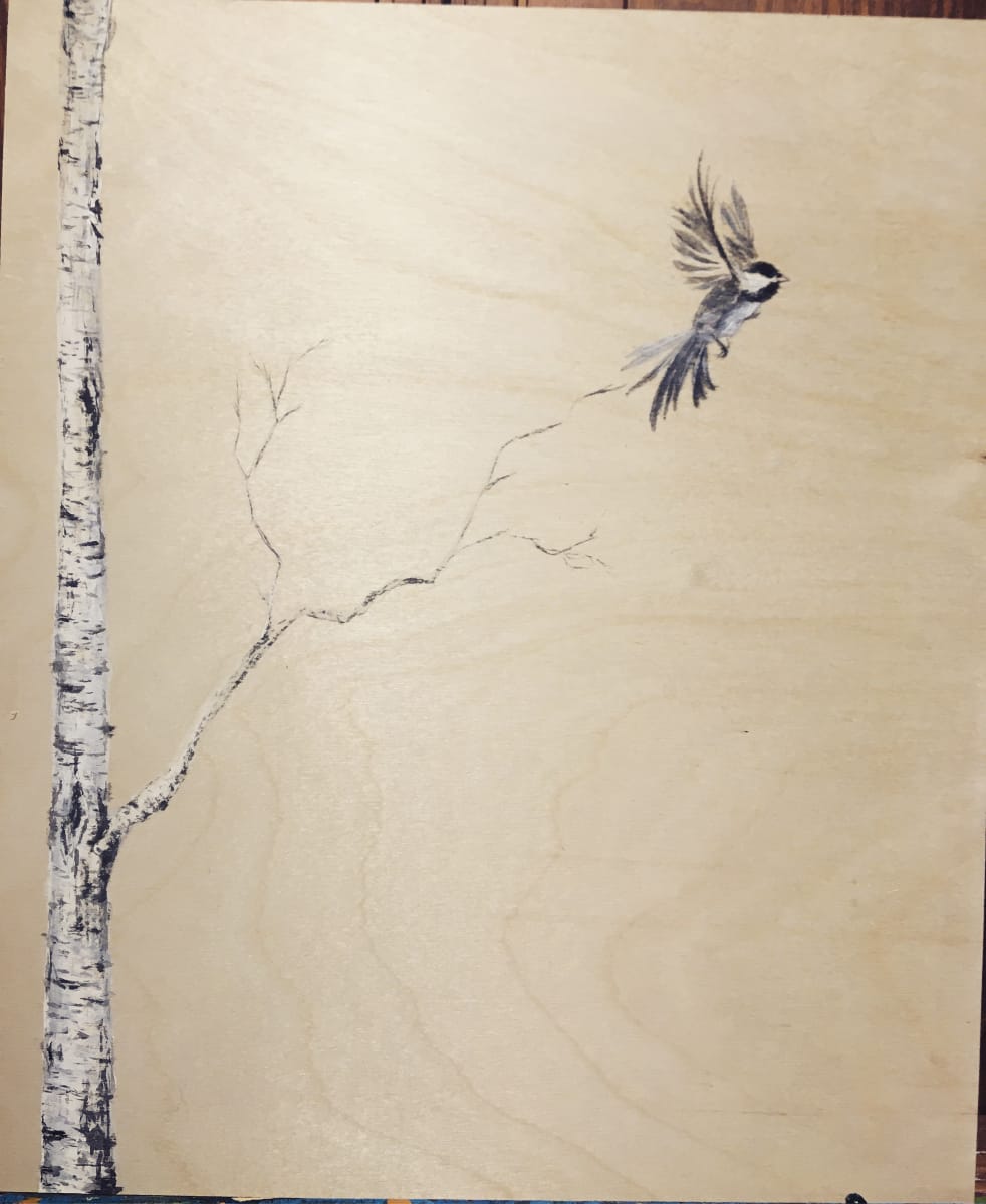 Chickadee and a Birch tree 