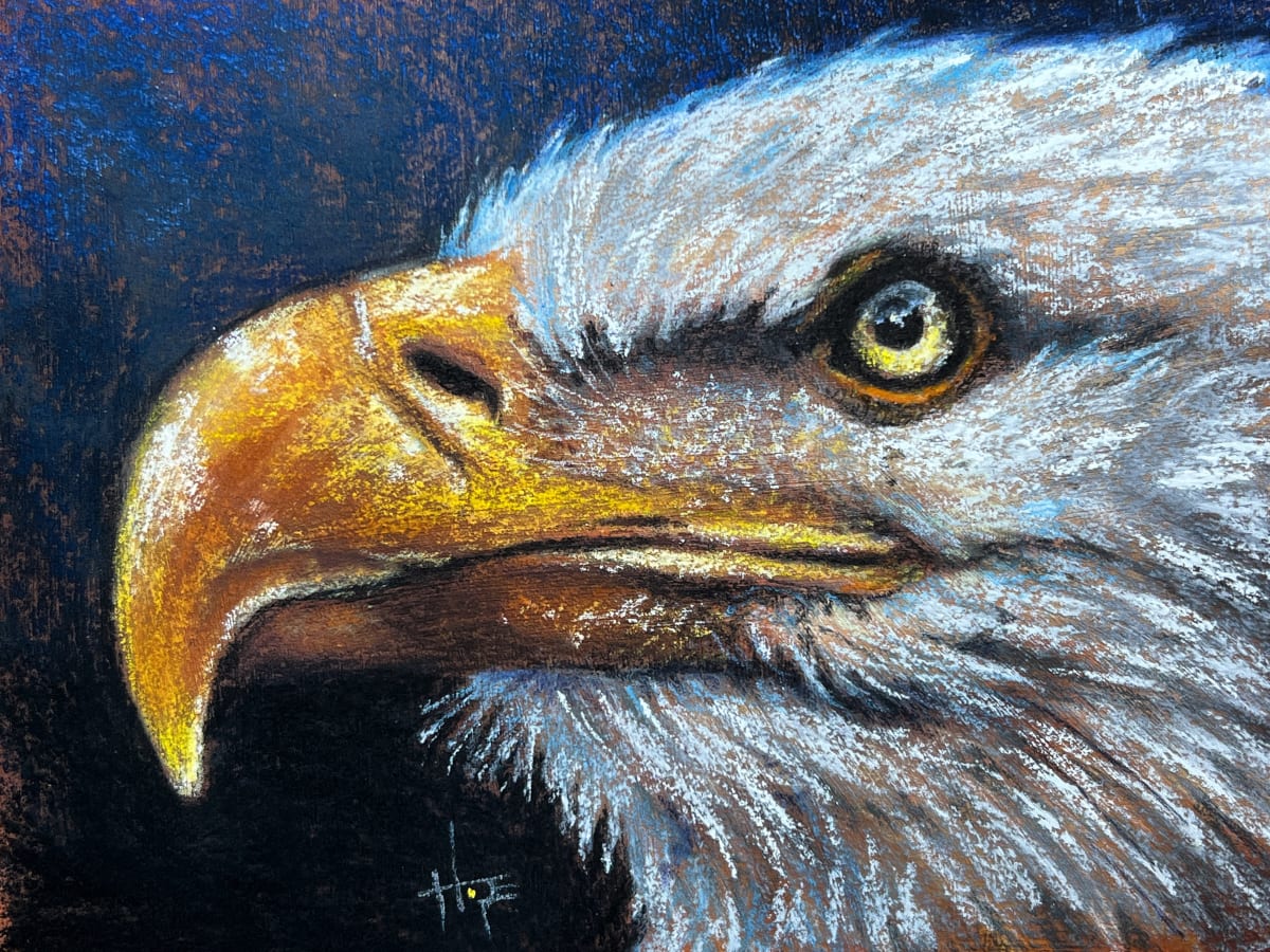 Eagle Study 1 by Hope Martin  Image: Bald eagle study on DIY sanded paper