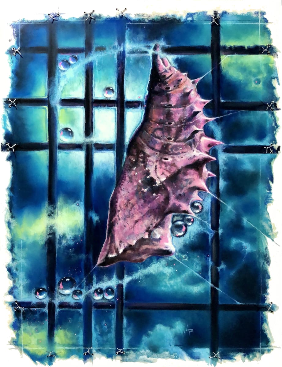 Imperative Constraint by Hope Martin 